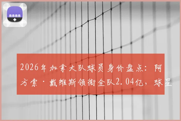 2026年加拿大队球员身价盘点:阿方索·戴维斯领衔全队2.04亿,球星价值解析与未来展望