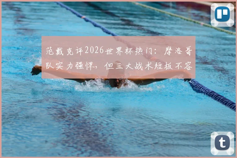 范戴克评2026世界杯热门：摩洛哥队实力强悍，但三大战术短板不容忽视